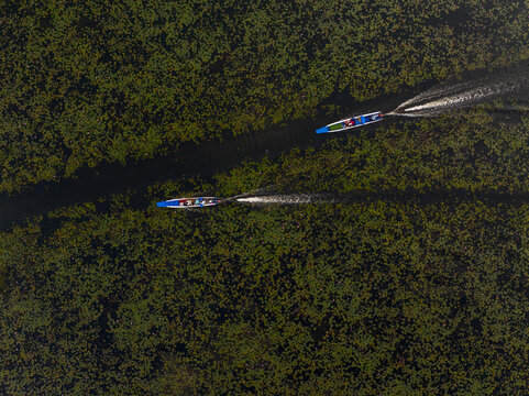 Aerial view of Red Lotus Lake with two long-tail boats navigating through dense lotus pads and creating wakes in the water in Chae Lae, Udon Thani, Thailand.