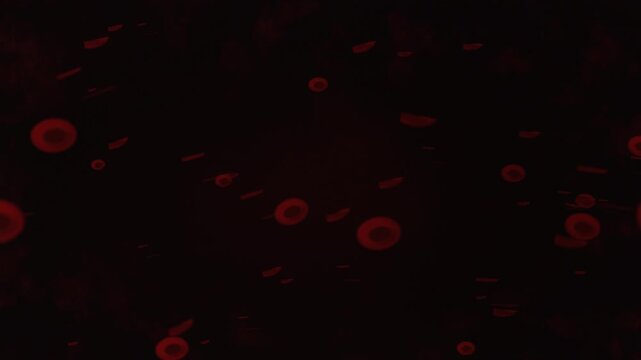 Dense red blood cells pulsating and flowing through a vein or artery. Microscopic view of a healthy human bloodstream with active circulation for medical and scientific themes.
