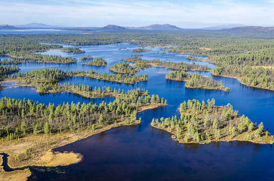 Aerial view of Rogen nature reserve with its characteristic labyrinth of small islands and coniferous forests surrounded by blue water in Tannas, Jamtland County, Sweden.