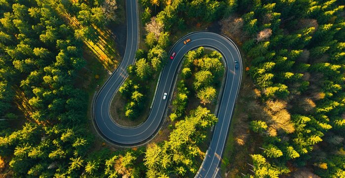 Aerial view of a winding road through a dense forest with cars driving along the serpentine path during golden hour, Czech Republic.