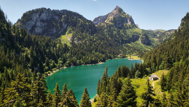 Aerial view of Lac de Taney surrounded by dense pine forests and rugged mountain peaks under a clear blue sky in Vouvry, Valais, Switzerland.