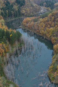 Aerial view of Lago di Poggio Baldi featuring submerged dead trees in the calm water surrounded by a dense autumn forest with colorful foliage in Santa Sofia, Emilia-Romagna, Italy.