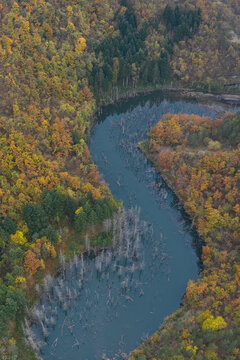 Aerial view of Lago di Poggio Baldi surrounded by vibrant autumn forest with dead tree trunks emerging from the water in Santa Sofia, Emilia-Romagna, Italy.