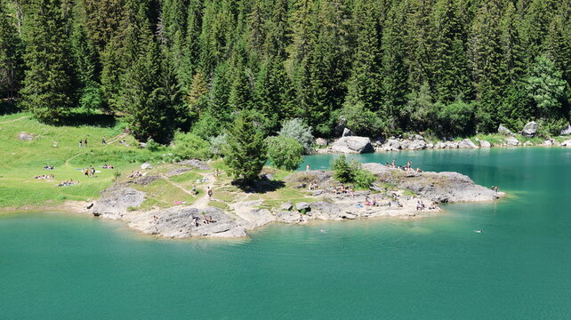 View of the turquoise waters of Lac de Taney with people relaxing on the rocky peninsula surrounded by lush pine forests in Vouvry, Valais, Switzerland.