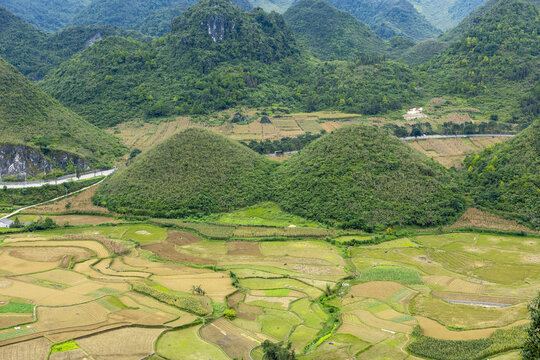 View of the iconic Ha Giang Loop featuring lush green karst mountains and terraced rice fields in the rural landscape of Dong Van, Tuyen Quang, Vietnam.