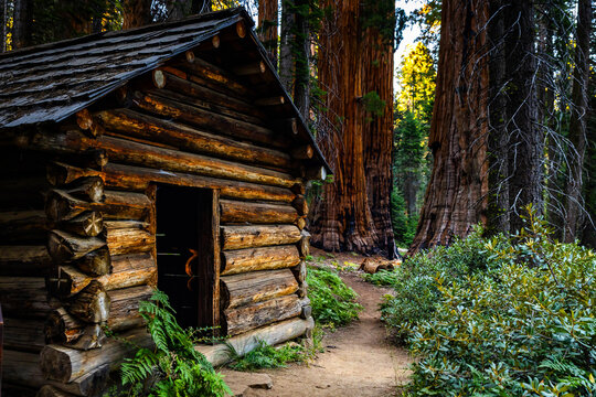 Squatters Cabin stands vintage on Dead Giant Trail