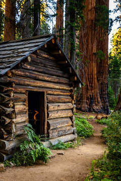 Squatters Cabin stands vintage on Dead Giant Trail