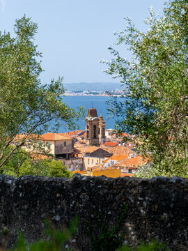 View of historic rooftops and church bell tower in the Old Town of Nice framed by olive tree branches with the Mediterranean Sea in Nice, Provence-Alpes-Cote d'Azur, France.