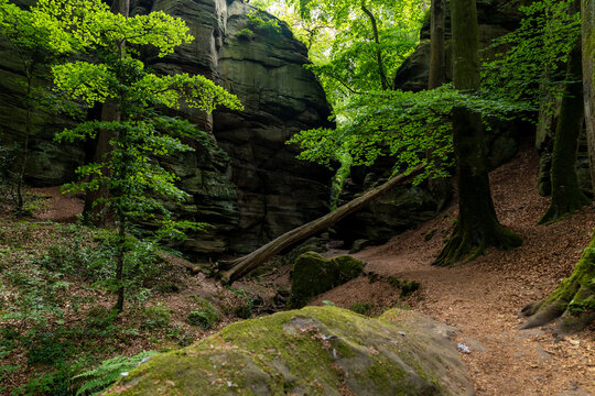 View of the Mullerthal Trail featuring towering sandstone rock formations, moss-covered boulders, and a fallen tree trunk in a lush forest setting in Berdorf, Echternach, Luxembourg.