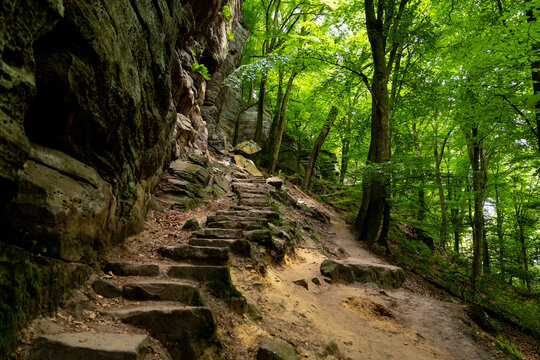 View of the stone steps along the Mullerthal Trail in a lush green forest with sandstone rock formations in Berdorf, Echternach, Luxembourg.