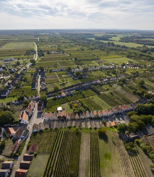 Aerial view of Hajos pincefalu, a historic wine cellar village with rows of traditional white buildings nestled among lush vineyards and agricultural fields in Hajos, Hungary.