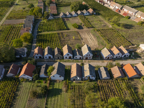 Aerial view of Hajos pincefalu with its traditional wine cellars, vineyards, and rural landscape in Hajos, Hungary.