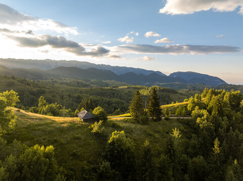 Aerial view of a rustic wooden cabin nestled among rolling green hills and dense coniferous forests in the Carpathian Mountains at sunset in Sirnea, Brasov, Romania.