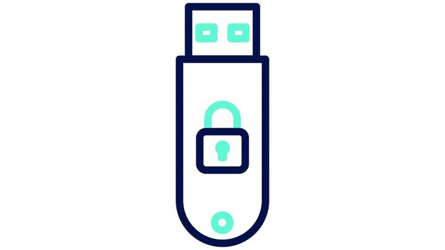 Physical security key icon with usb drive and padlock. Vector illustration, outline video