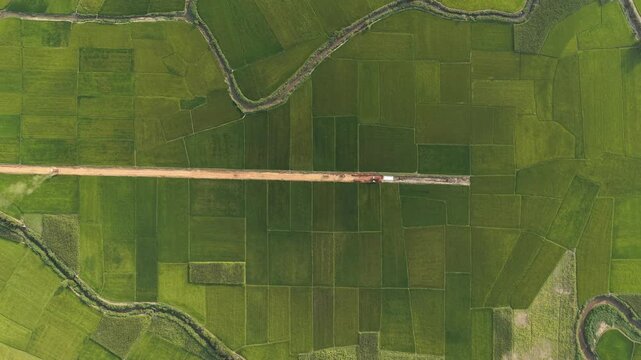 Aerial view of green rice paddies with a straight dirt road and a winding stream near Lak Lake in Lien Son Lak, Dak Lak, Vietnam.