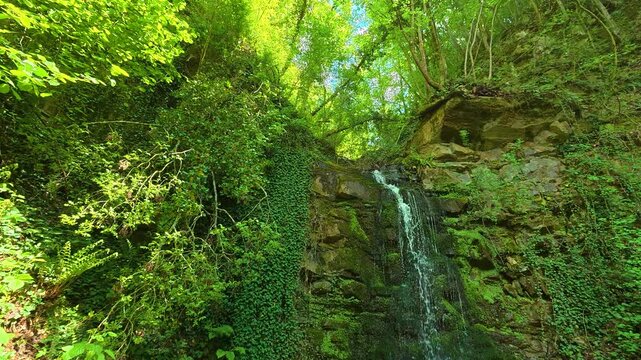 Green waterfall cascades down mossy rock face. Balkans, Serbia.