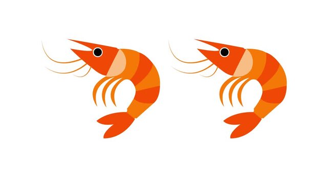 Pair of Two Animated Cute Orange Shrimps Swimming Together Motion Graphic Loop Isolated on White Background for Seafood Restaurant Menu Fresh Catch Marine Life Concept