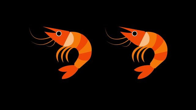 Pair of Two Animated Cute Orange Shrimps Swimming Together Motion Graphic Loop on Transparent Black Background for Seafood Restaurant Menu Fresh Catch Marine Life Concept