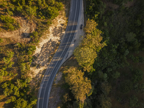 Aerial view of a winding asphalt road cutting through a dense forest with golden-hued trees and long shadows in Bensafrim, Faro, Portugal.
