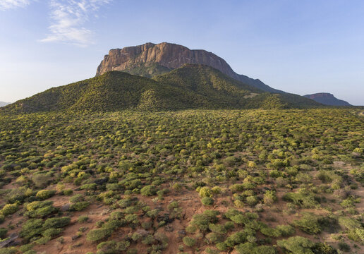 Aerial view of Oldoinyo Sabachi mountain rising above the arid savanna landscape with scattered acacia trees and shrubs in Archers Post, Samburu County, Kenya.