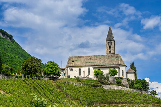 Kurtatsch, Dorf, Kirche, Pfarrkirche, Vigiliuskirche, Weindorf, Weinstrasse, Weinberg, Etschtal, Aussicht, Wanderweg, Fr&uuml;hling, Sommer, S&uuml;dtirol, Italien