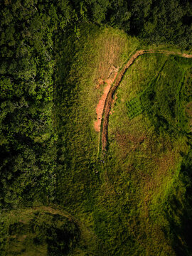 Aerial view of a landscape featuring dense forest bordering a cleared grassy field with a dirt path and natural terrain in Jaragua do Sul, Santa Catarina, Brazil.