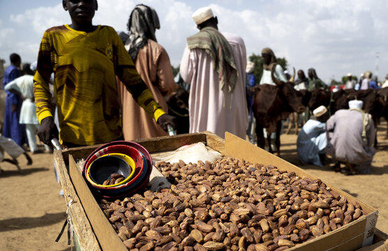 Maroua, Cameroon - 27 September 2021: View of a vendor pushing a cart filled with dates at a bustling local market with people and cattle in the background.