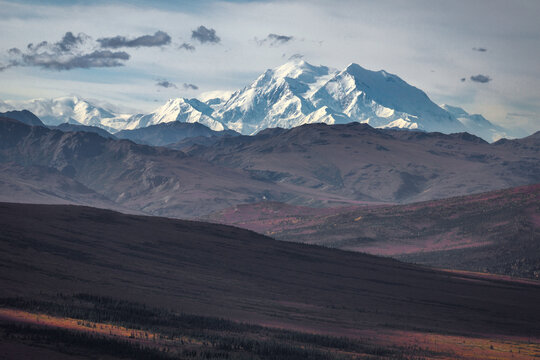 Aerial view of the snow-capped Denali peak rising above the vast tundra landscape with autumn colors and rolling hills in Denali National Park and Preserve, Alaska, United States.