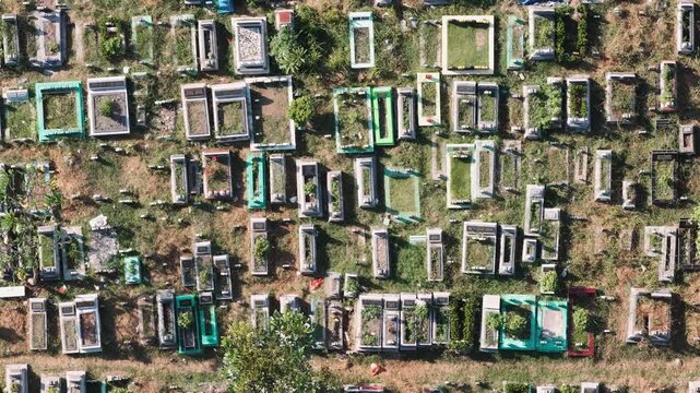 Aerial view of a cemetery with numerous graves and a large tree in Krembangan, East Java, Indonesia.
