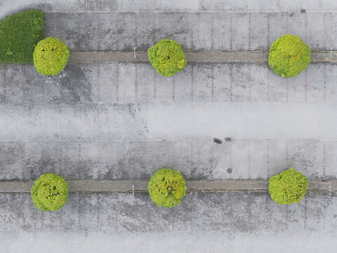 Aerial view of a parking yard with marked parking spaces and green trees arranged in rows in Krakow, Lesser Poland Voivode, Poland.