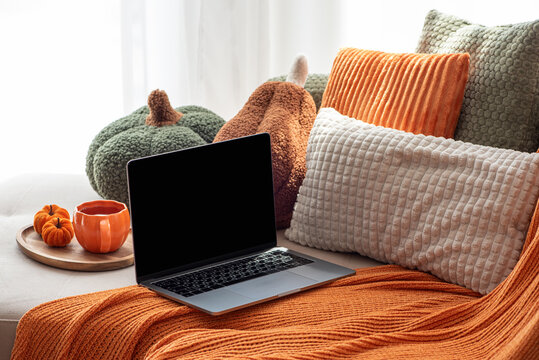 Cozy autumn scene with laptop and pumpkin decor on sofa for seasonal comfort and work from home