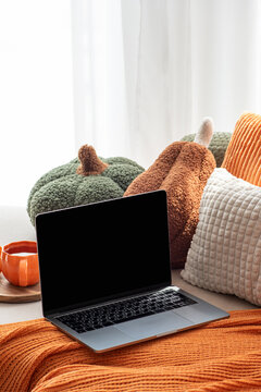 Cozy autumn scene with laptop and decorative pumpkins on sofa