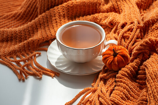 Cozy Autumn Scene with Warm Tea and Decorative Pumpkin on Textured Orange Blanket