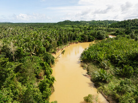 Aerial view of the San Nicolas River winding through lush tropical vegetation and palm trees near the Puerto Princesa North Road in Roxas, Mimaropa, Philippines.