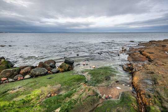 Rocky shore with green algae covered stones near Portobello Beach in Edinburgh, overcast sky above sea