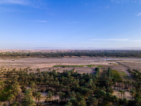 Aerial view of the lush date palm oasis in the desert landscape with green fields and distant mountains under a clear blue sky in Panjgur, Balochistan, Pakistan.