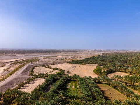 Aerial view of the oasis landscape featuring date palm groves, agricultural fields, and a dry riverbed under a clear blue sky in Panjgur, Balochistan, Pakistan.