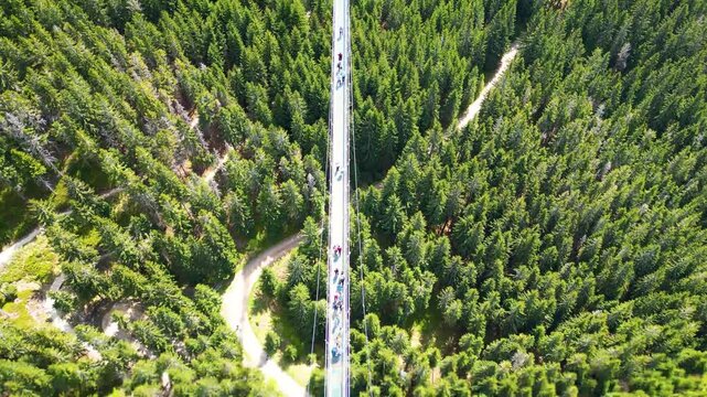 Aerial view of Sky Bridge 721 suspended over a dense pine forest in Dolni Morava, Pardubicky kraj, Czechia.