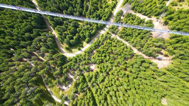 Aerial view of a winding dirt path through a dense coniferous forest in Dolni Morava, Pardubicky kraj, Czechia.