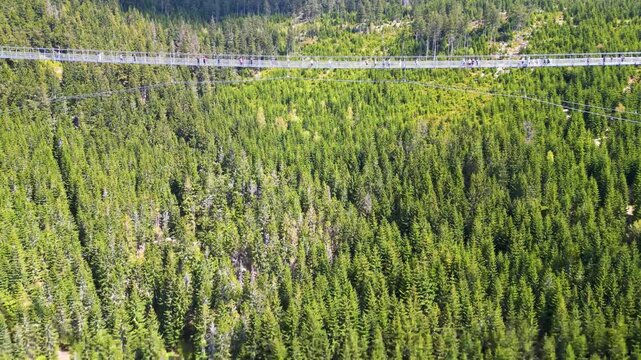 Aerial view of Sky Bridge 721 spanning across a lush coniferous forest valley in Dolni Morava, Pardubicky kraj, Czechia.