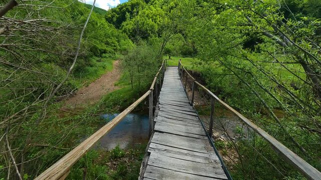 Wooden bridge crosses small stream through green forest. Balkans, Serbia.