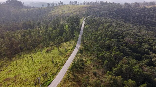 Aerial Drone Shot of a Road crossing a forest at Daytime
