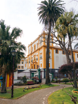 View of the historic Palacio dos Capitaes Generais with its yellow and white facade, surrounded by tall palm trees and a cobblestone garden path in Angra do Heroismo, Azores, Portugal.