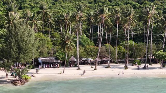 Aerial view of a tropical beach with tall palm trees, white sand, clear turquoise water, and people relaxing along the shore in Karimunjawa, Central Java, Indonesia.