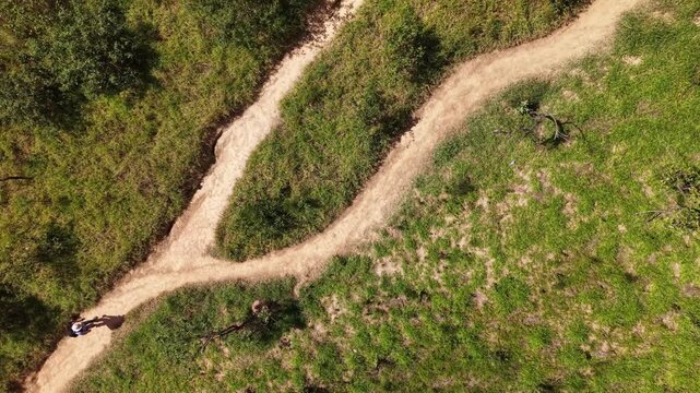 Aerial view of a man walking through the nature in a rainforest in Brazil