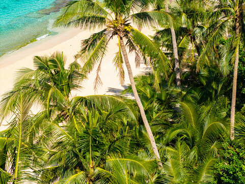 Aerial view of Puka Shell Beach on Boracay island with lush palm trees, white sand, and turquoise water in Malay, Western Visayas, Philippines.