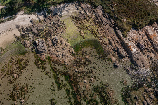 Aerial view of the rocky coastline and tidal zone with seaweed and coastal vegetation at A Illa de Arousa, Pontevedra, Spain.