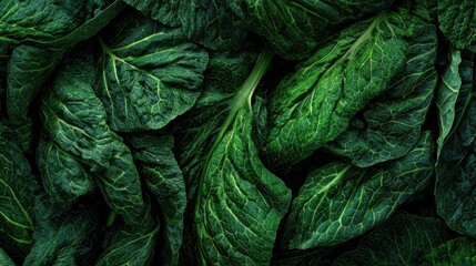 Obraz premium Fresh spinach leaves with deep green texture in dramatic studio lighting for healthy food concepts