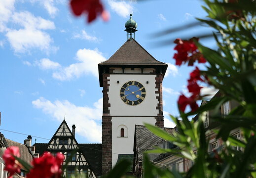 Das Schwabentor in Freiburg zwischen Oleanderbl&uuml;ten
