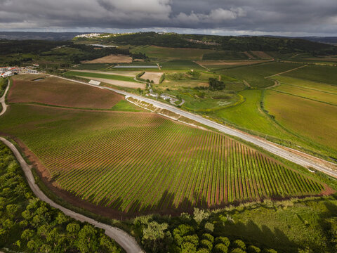 Aerial view of lush vineyards and rolling hills surrounding the historic town of Obidos, with rows of vines and a winding road under a cloudy sky in Obidos, Leiria District, Portugal.